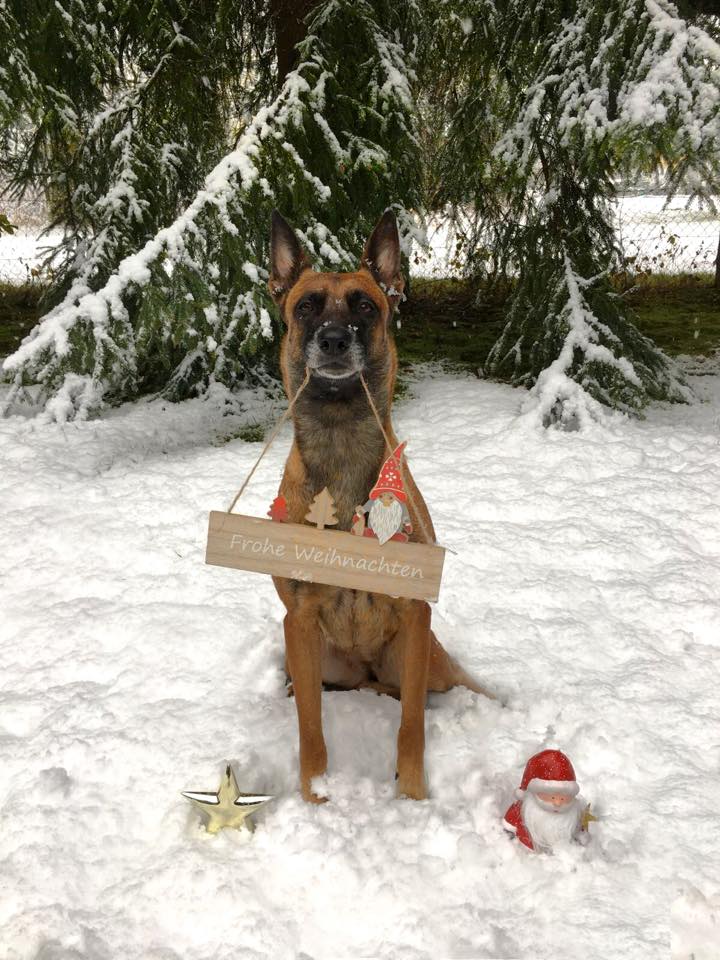 Weihnachten 2017